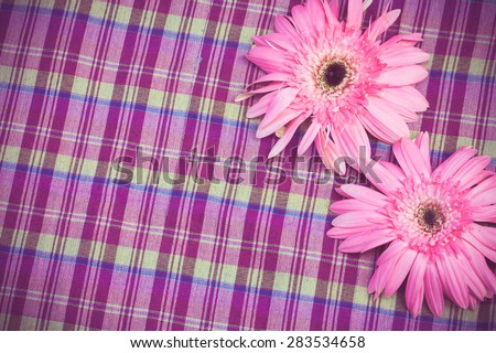 vintage of pink gerbera flower on violate cloth