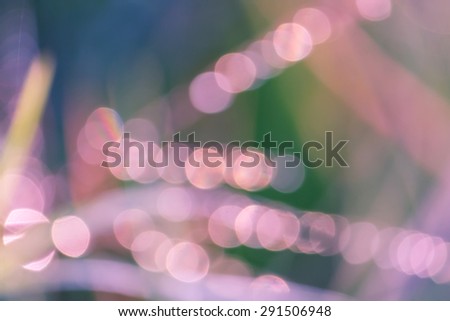 bokeh blurry natural abstract green and violate background