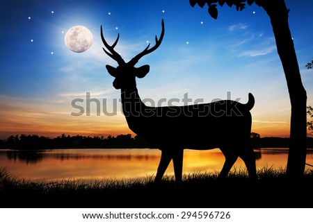 Silhouettes of deer in lake water against night full moon skyline background Wild life landscape