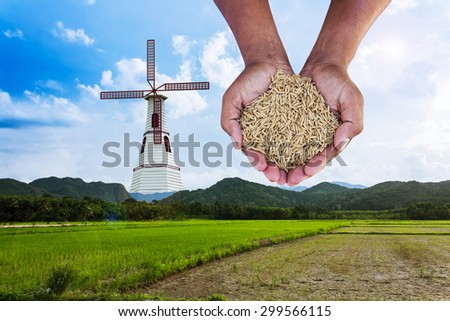 hand hold rice on the wind turbine in The morning  green rice field,renewable concept save the world