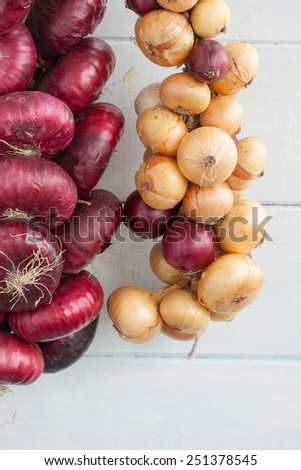 Two bunch of onion. Sweet red onions and yellow onions.