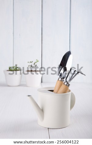 Garden tools. Shovel, rake, watering can, flowerpots.