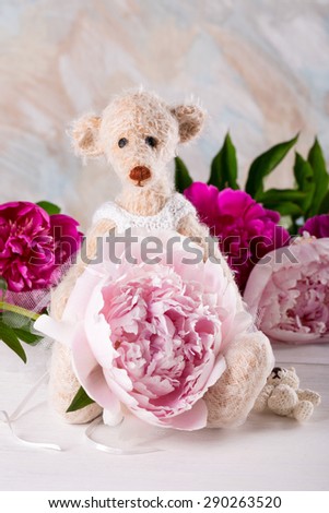 Teddy bear and  pink peony flower