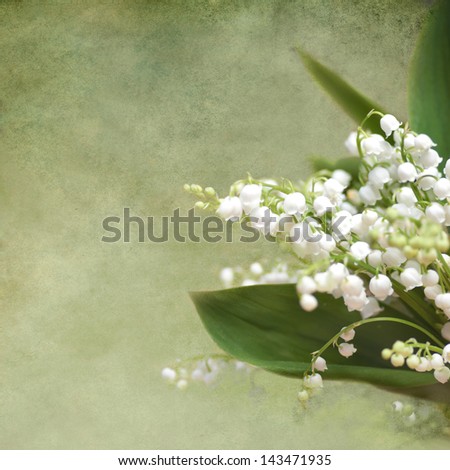 Flower lily of the valley over grunge background