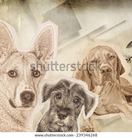 textured old paper background with dogs