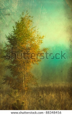 autumn foggy morning on field - picture in retro style
