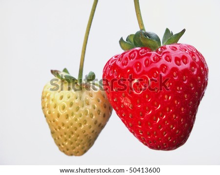 Unripe Strawberry