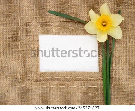Framework made of burlap and the narcissus and place for your text