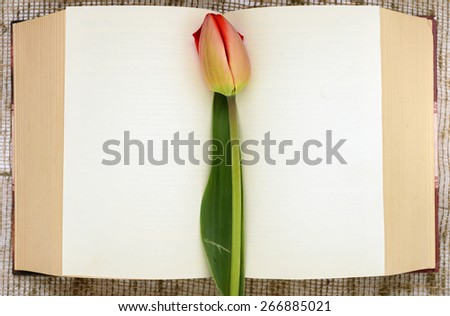 tulip bud on the background of the open book