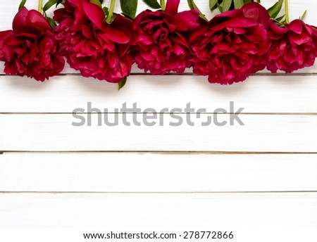 burgundy peonies on the white wooden background