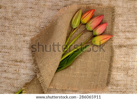 bouquet of red tulips on burlap background