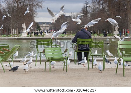 Young man sittting in the park and feeding birds