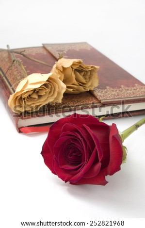 Fresh Red Rose with Personal Diary and Dried white Roses