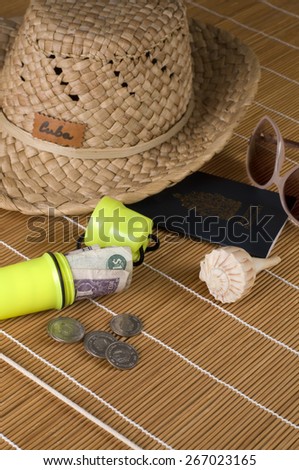 Day Trip Travel Kit with Yellow Money Holder