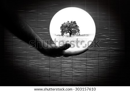 Human Hand Holding a White Sphere Bamboo Background in Black and White