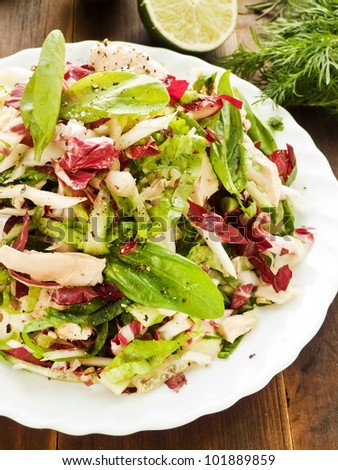 Chicken salad with radicchio, lettuce and spinach. Shallow dof.