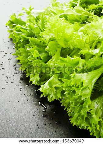 Baby green lettuce on the black background. Shallow dof.