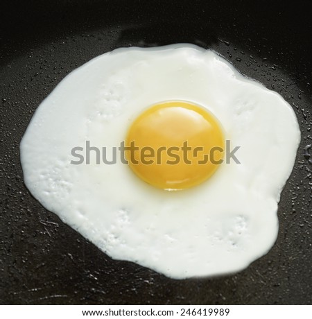 FRIED EGG 2 - A fried egg in a pan.