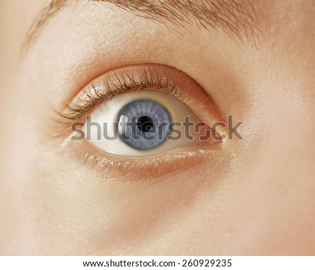 CLOSE UP OF A BLUE EYE - A close up of a wide open blue eye