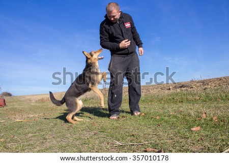 aggressive attack dog shepherd biting on man\'s hand