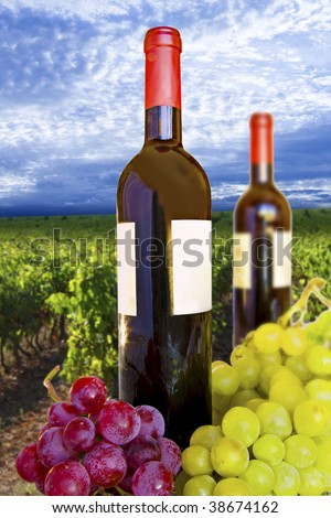 bottles of wine with white label wrapped in bunches of grapes  placed on full blue sky with white clouds