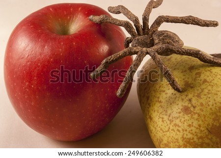 Isolated apple and pear with a spider on a white background