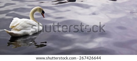 Illustration of Swans shown on a lake,