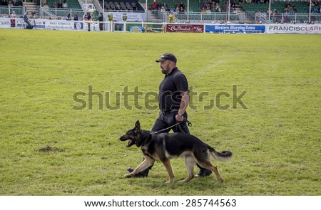 Wadebridge, Cornwall, UK, June 6 2015 - Police dog handler with his dog