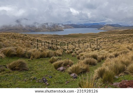 These grasslands are the sponge that collects water that feeds this pond of Mica that provides water for Quito
