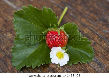strawberry, flower and strawberry leaf