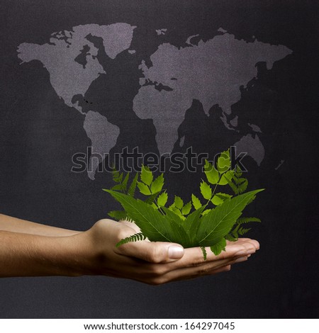 plants hands in front of blackboard with world map