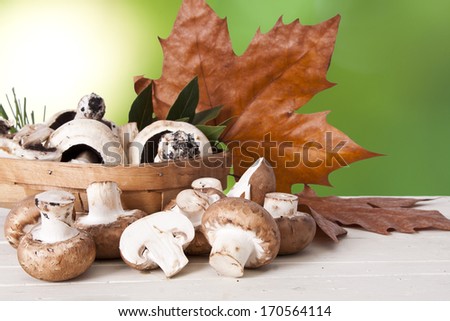 Still life of mushrooms and mushroom autumn season