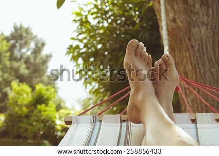 summer vacation in the hammock