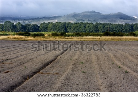 soil prepared for cultivation, landscape