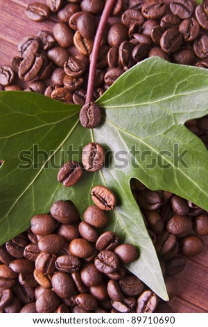 roasted coffee beans in the natural environment of the coffee industry