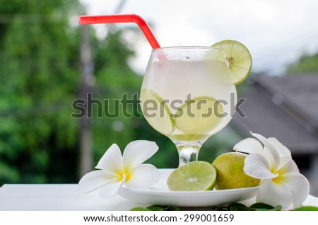 lemon cocktail drink in front of a green tree on a garden