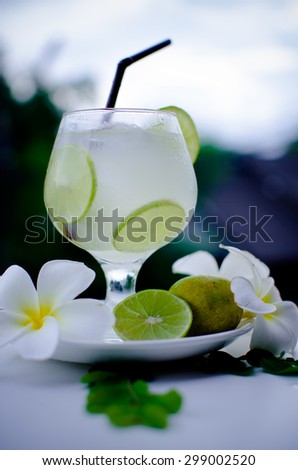 lemon cocktail drink in a garden