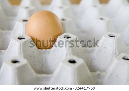 Egg, Chicken Egg,soft focus