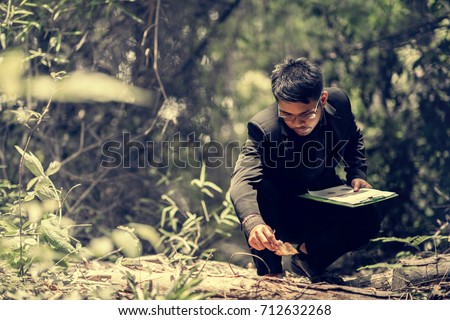 researching record data in the forest