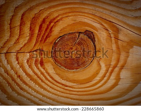 Cross section of a piece of wood showing tree rings and a large knot in the center