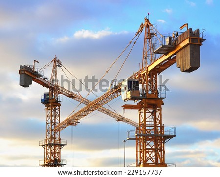 Lifting cranes on the sunset sky background