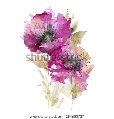 flowers, pink poppies, watercolor