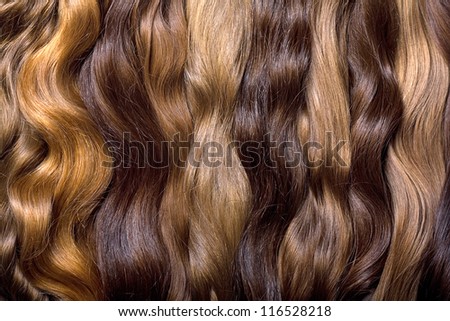 Natural human hair on a white background