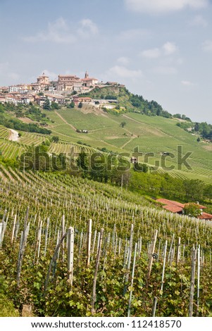 Tuscany. Vineyard in the middle of the most famous wine region of Italy.