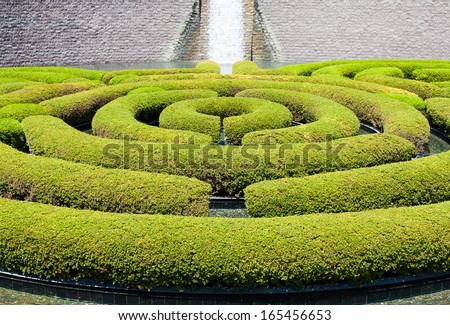 Wonderful garden maze during a sunny day