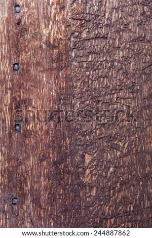Rough surface of 100-year-old oak wood boat peace with 4 wrought nails on left side.