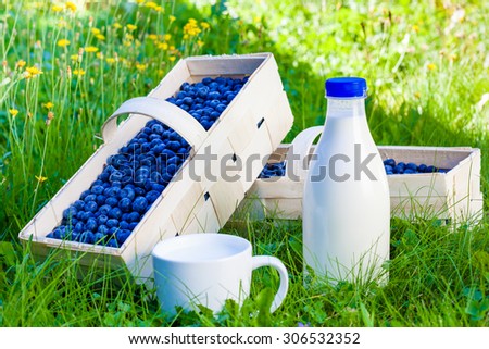 Blueberry basket on grass with milk cup and bottle of milk.