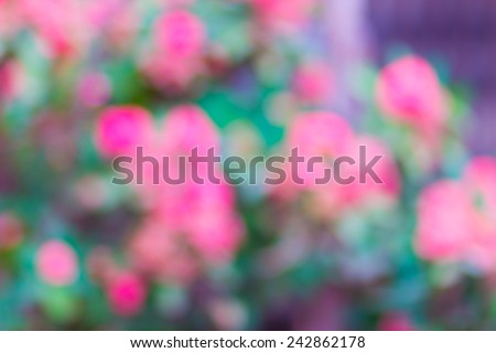 Bright green and pink blur bokeh abstract light flora background