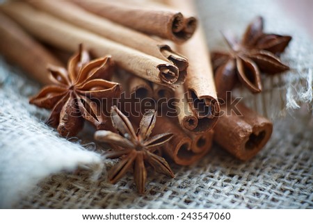 Star anise and cinnamon sticks on the burlap