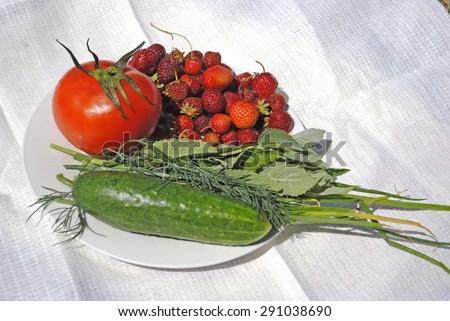 Still life with strawberry, tomato, cucumber, mint, dill and chives